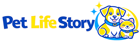 반려동물 라이프 스토리